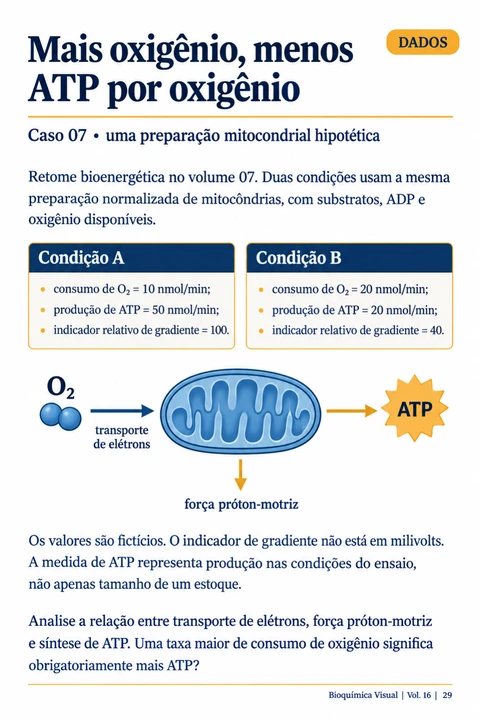 Volume 16, página 29: Mais oxigênio, menos ATP por oxigênio
