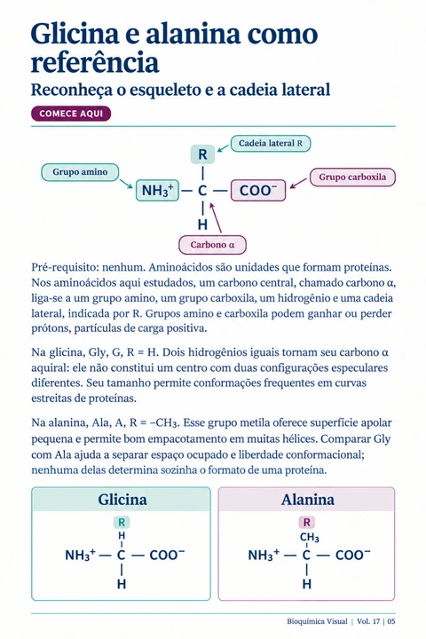Volume 17, página 5: Glicina e alanina como referência